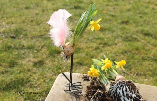 Lökfötter / Kycklingfötter, 2 par, 15-20 cm 